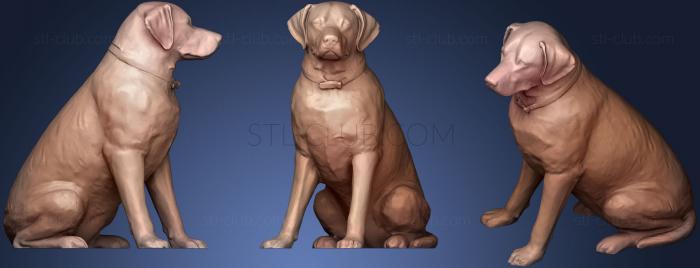 3D model Labrador (Female) (STL)